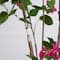 7ft. Potted Pink Minimalist Bougainvillea Tree